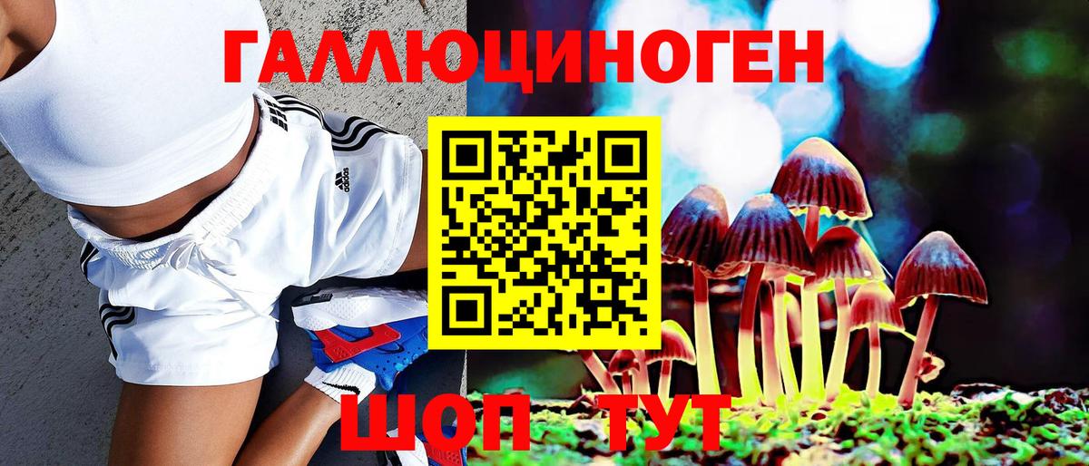 Александров  Псилоцибиновые грибы GOLDEN TEACHER  Псилоцибиновые грибы Psilocybine cubensis  Вход с VPN 